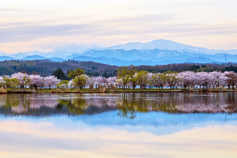 木場潟公園イメージ画像