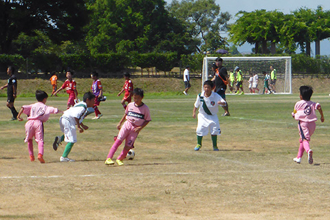 スポーツを楽しむ