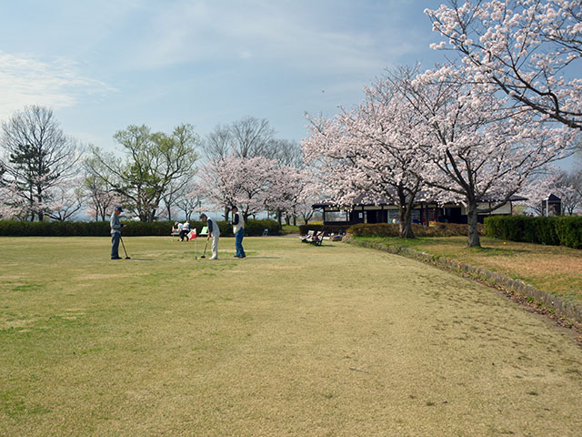 メモリアル画像