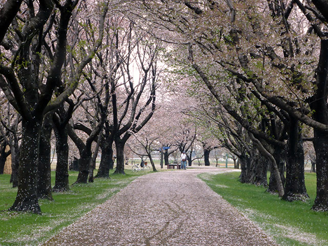 メモリアル画像