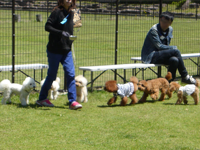 メモリアル画像