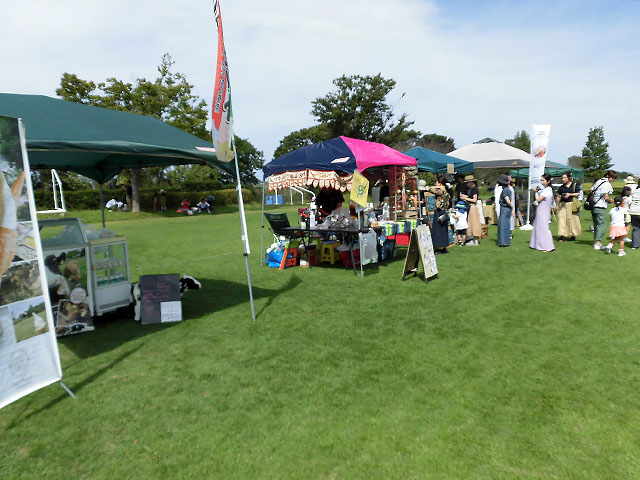 メモリアル画像